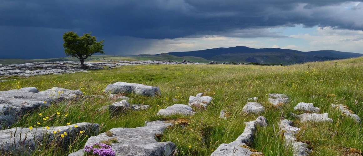 @clarebee@mastodon.green