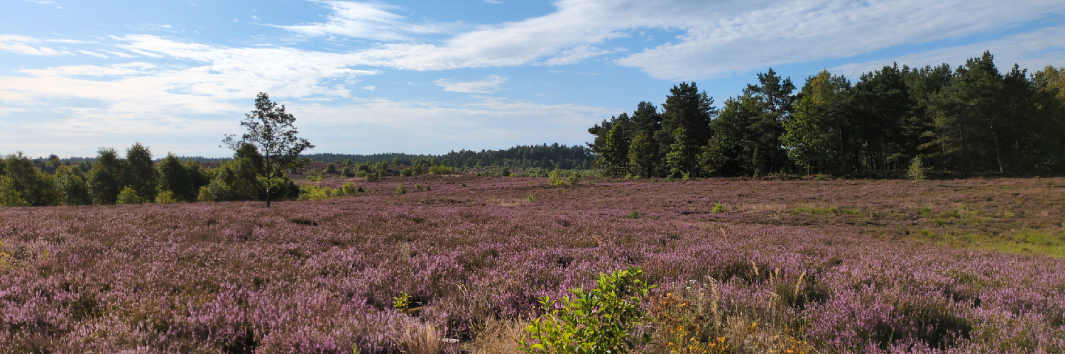 @mgorny@mastodon.com.pl