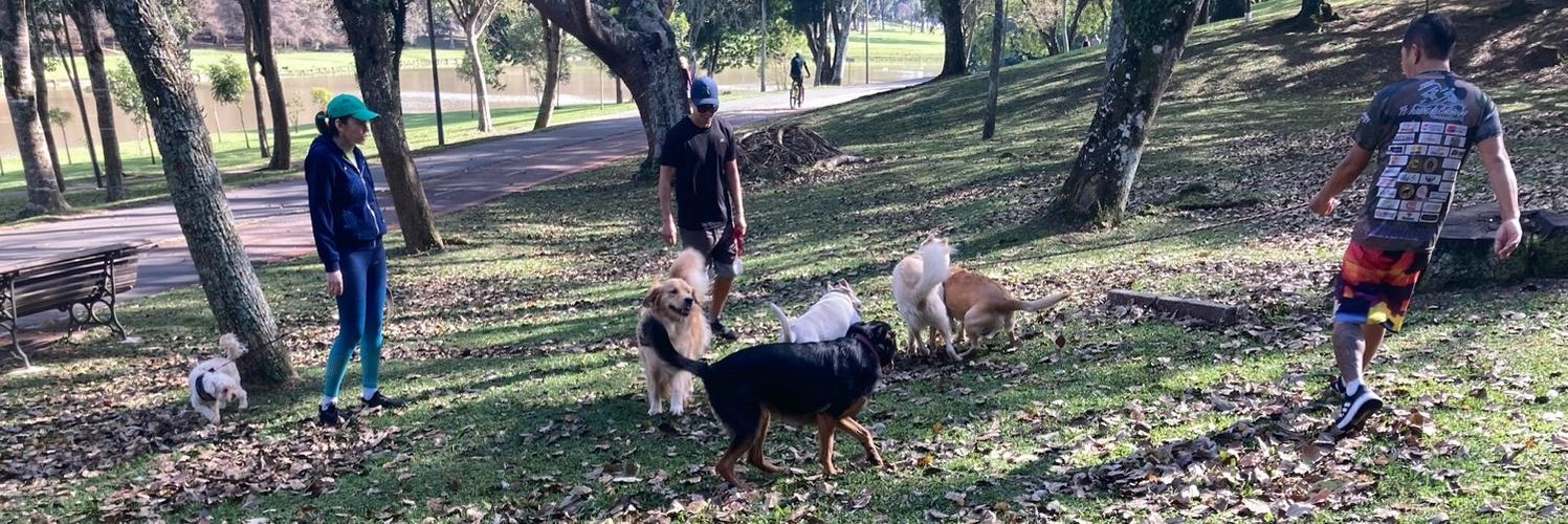 @DavidNielsen@mastodon.social