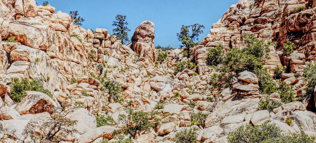 @strifel@chaos.social