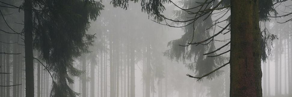 @oozy7@mastodon.social