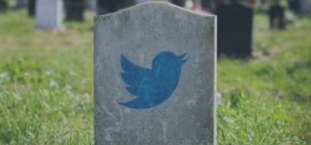 @ladypinpom@mastodon.social