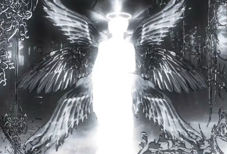 @qugalet@pl.m0e.space