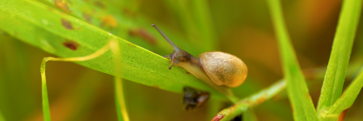 @CaptManiac@mastodon.world