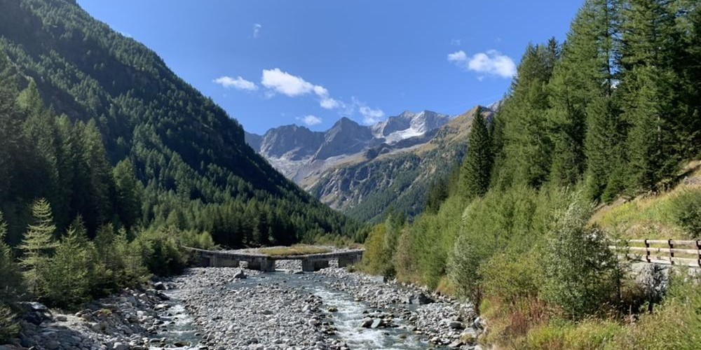 @deodorare@mastodon.social