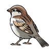 @Sparrowette@midwest.social avatar