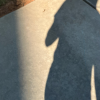 @thatfemmefromgwinnett@mastodon.social avatar