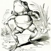 @frog@frogdrool.net avatar