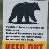 @just_one_bear@mastodon.social avatar