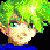 @Cralex@piefed.social avatar