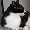 @AeonFelis@lemmy.world avatar