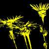 @Plaidboy@sh.itjust.works avatar