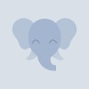 @shoka2025@mastodon.social avatar
