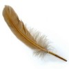 @monissa@aus.social avatar