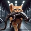 @stef34@mastodon.social avatar