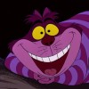 @matheusvenus@mastodon.social avatar
