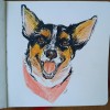 @Jode@midwest.social avatar
