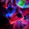 @MrJameGumb@lemmy.world avatar