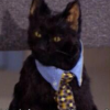 @VinnyDaCat@lemmy.world avatar