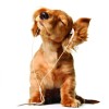 @721_bipsty@lemmy.ml avatar