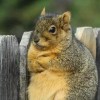 @alexander@mastodon.sdf.org avatar