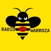@radiowarroza@castopod.warroza.pl avatar
