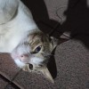 @sw3ta24@mastodon.social avatar