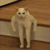 @gonzo-rand19@moist.catsweat.com avatar