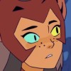 @catra@piefed.blahaj.zone avatar
