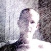 @pprem@plantex.top avatar