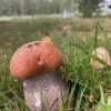 @5ibelius9insterberg@feddit.org avatar
