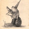 @tadoh@radikal.social avatar