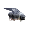 @lizard_person@mastodon.social avatar