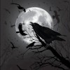 @Remacresent@mastodon.social avatar