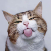 @JohninPortland@mastodon.social avatar