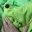 @hoagecko@sh.itjust.works avatar