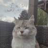 @m4ver13@mastodon.com.pl avatar