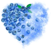 @blueberry@mastodon.com.pl avatar