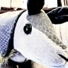 @Armadillosoft@mastodon.social avatar