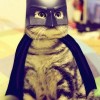 @moviespeculator@expressional.social avatar