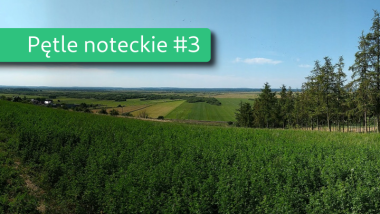 Miniaturka dla wpisu „Duża pętla notecka”. Na zdjęciu widok na zieloną dolinę Noteci, a na to nałożony pasek z napisem „Pętle noteckie #3”.