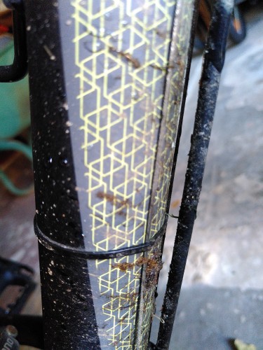 Nahaufnahme eines Fahrradrahmens. Man kann erkennen, dass der Schaltzug mit einem Kabelbinder am Rahmen fixiert wurde.