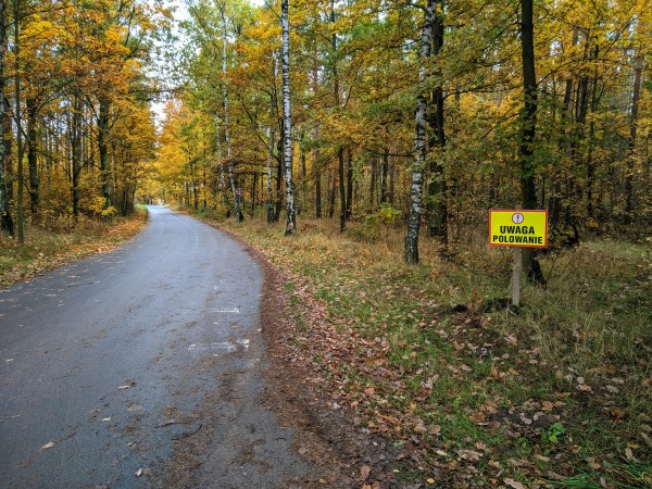 Asfaltowa droga przez jesienny las, przy której stoi znak "Uwaga polowanie"