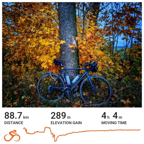 Karta podsumowania podróży z serwisu Ride with GPS ilustrowana zdjęciem roweru szutrowego opartego o drzewo z młodymi klonami o żółtych liściach w tle. Pod zdjęciem statystyki: dystans 88,7 km; 289 m wzniesień, 4 godziny i 4 minuty w ruchu.
