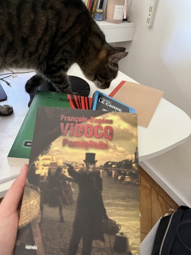 Zdjęcie książki, w tle na biurku buty kot zajmujący się swoimi kocimi sprawami 