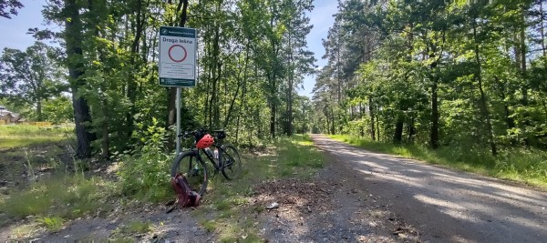 Rower oparty o znak "droga leśna", w tle szutrowa droga i las
