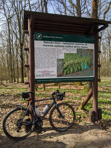Rower szutrowy stoi oparty o leśną tablicę informacyjną z mapą, nad która jest napis "Dębowa Góra - najwyższe wzgórze na morenie czołowej wzdłuż doliny Noteci".