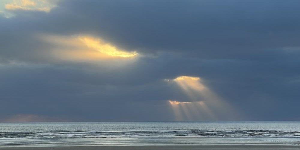 @transience@beige.party