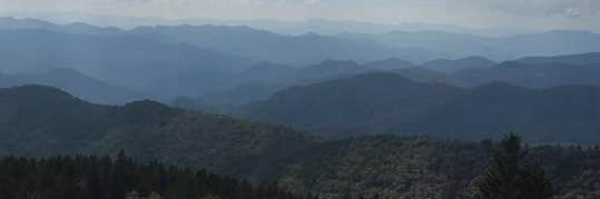 @intermidiot@mastodon.social