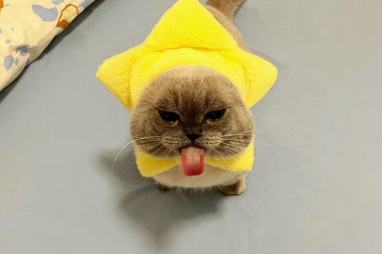 @gaktus32@mastodon.social